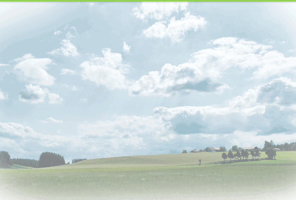 (주)현대호이스트 본사